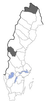 Distribution map - Clepsis nybomi